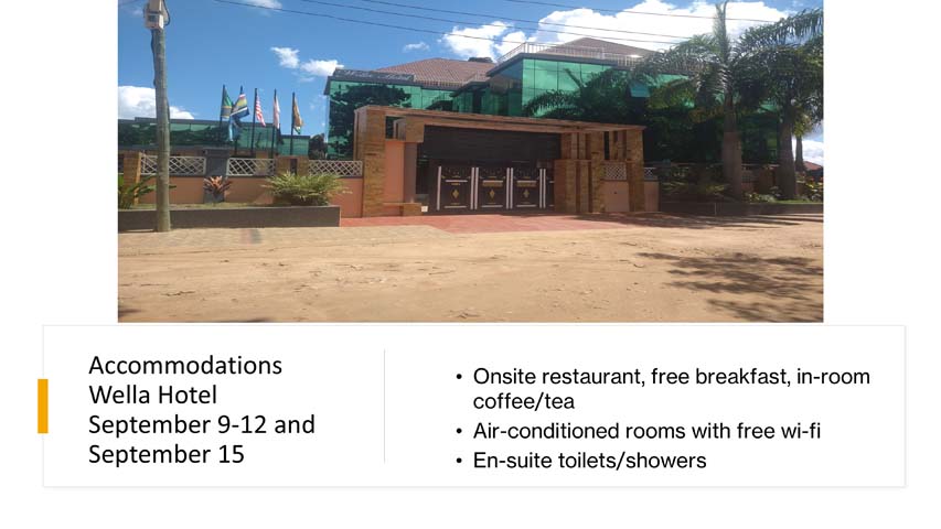 Slide 11