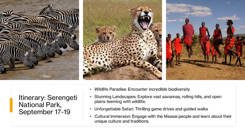 Slide 21